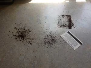 Cleaning up spilt coffee grounds with a credit card