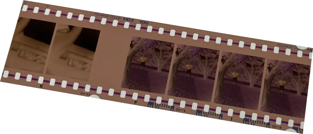 Negative Film Strip