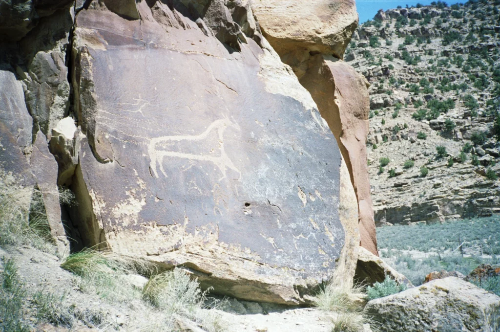 Horse Petroglyphs in Nine Mile Canyon Utah