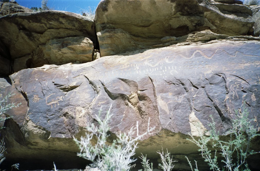 Snake Petroglyphs in Nine Mile Canyon Utah