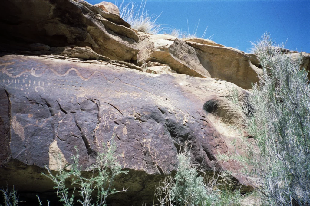 Snake Petroglyphs in Nine Mile Canyon Utah