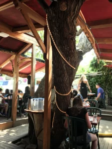 Tree House Café